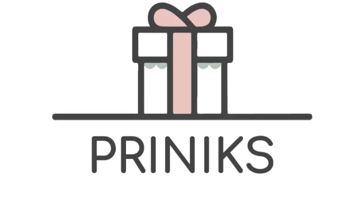 Priniks logo - PriNiks